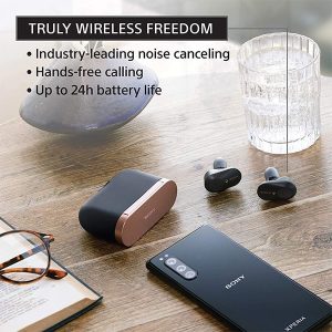 Sony WF-1000XM3 True Wireless Bluetooth Earbuds